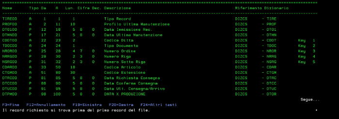 Tabella righe ordine connessa via ODBC in totale sono 80 campi qui solo i primi